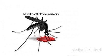 KRISOFF odkomarzanie zwalczanie komarów i kleszczy